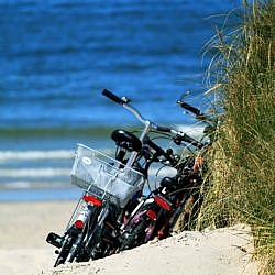 Bicycles leaning on a grassy sand dune by the water