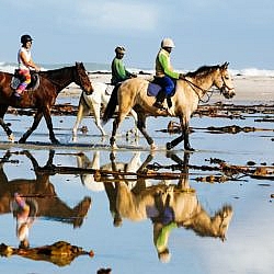 Horseback riders on a beach