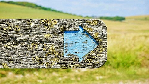 Signpost in a field pointing the way
