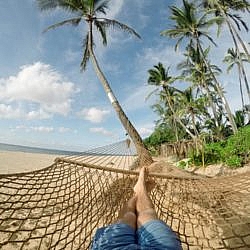 Lying in a hammock on a palm-lined beach