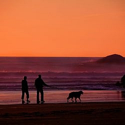 Couple walking a dog on the beach at sunset