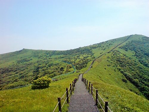 Hiking trail at Sobaek Mountain