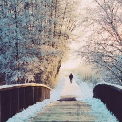 Winter traveller