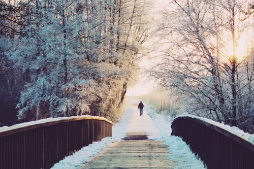 Winter traveller